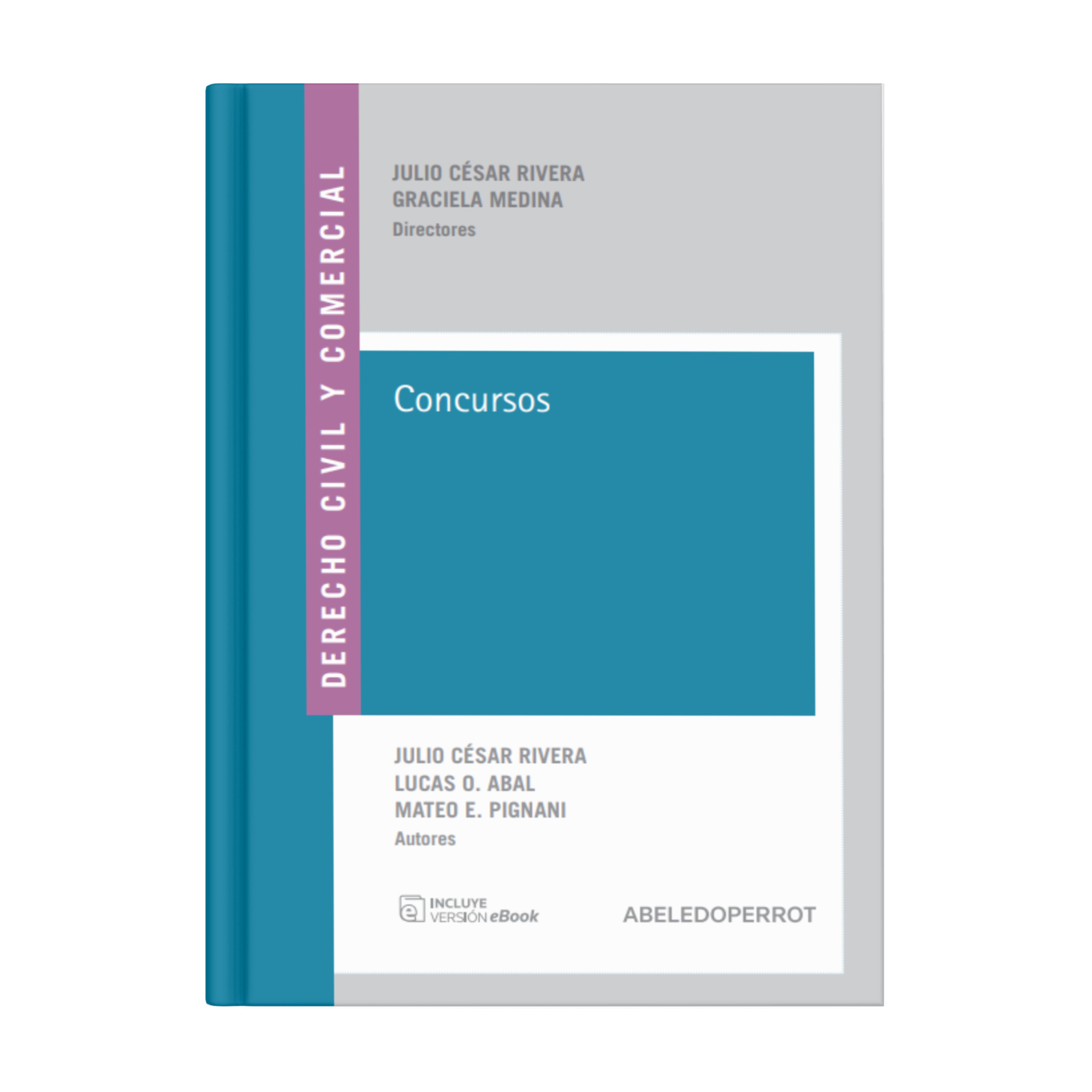 Book Derecho Civil y Comercial