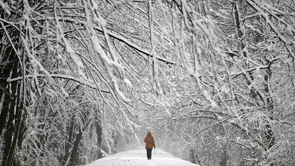 A woman walks through snow covered Mlociny Park following heavy snow fall in Warsaw April 1, 2013.