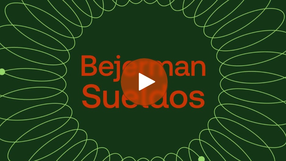 Bejerman Sueldos